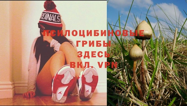 соль ск Алексин