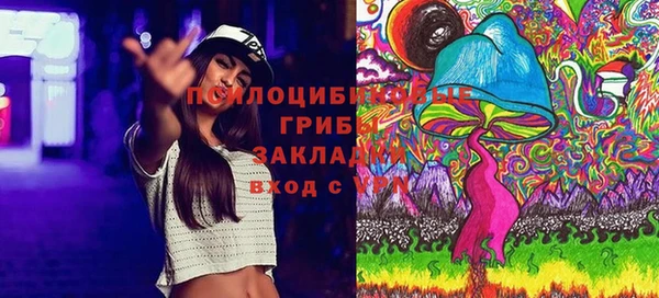соль ск Алексин