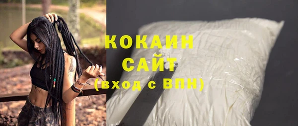 соль ск Алексин