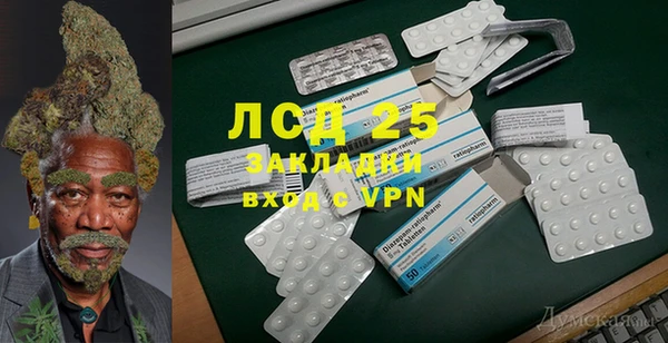 твердый Абаза