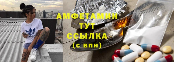 прущие грибы Алзамай