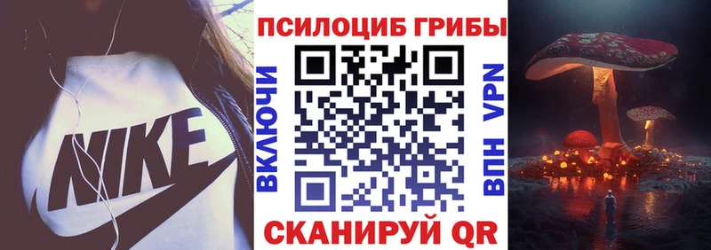 Псилоцибиновые грибы Psilocybine cubensis  купить  цена  kraken сайт  Балаково 